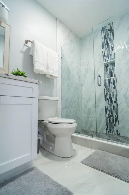 Grey Novo Studio + Free-Parking&Wifi Tampa Bagian luar foto