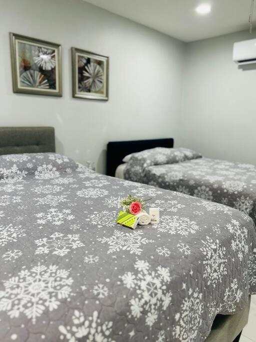 Grey Novo Studio + Free-Parking&Wifi Tampa Bagian luar foto