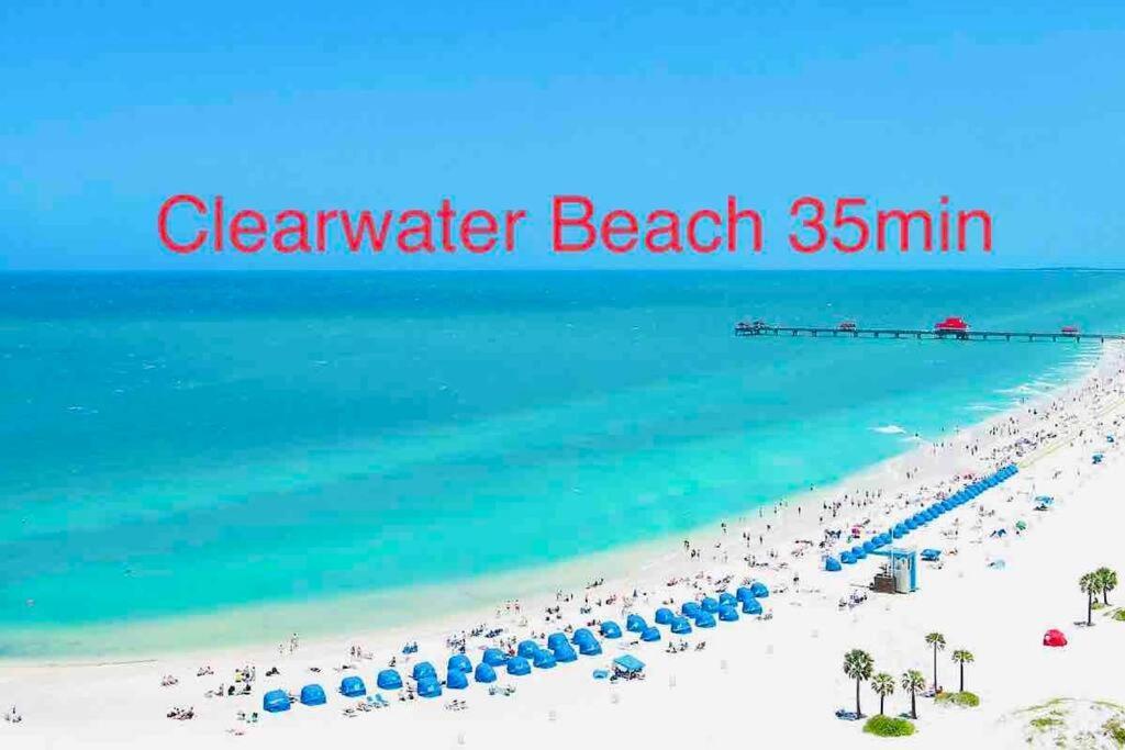 Grey Novo Studio + Free-Parking&Wifi Tampa Bagian luar foto