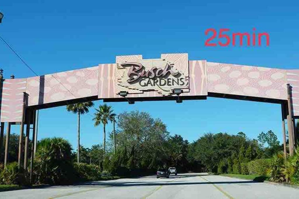 Grey Novo Studio + Free-Parking&Wifi Tampa Bagian luar foto