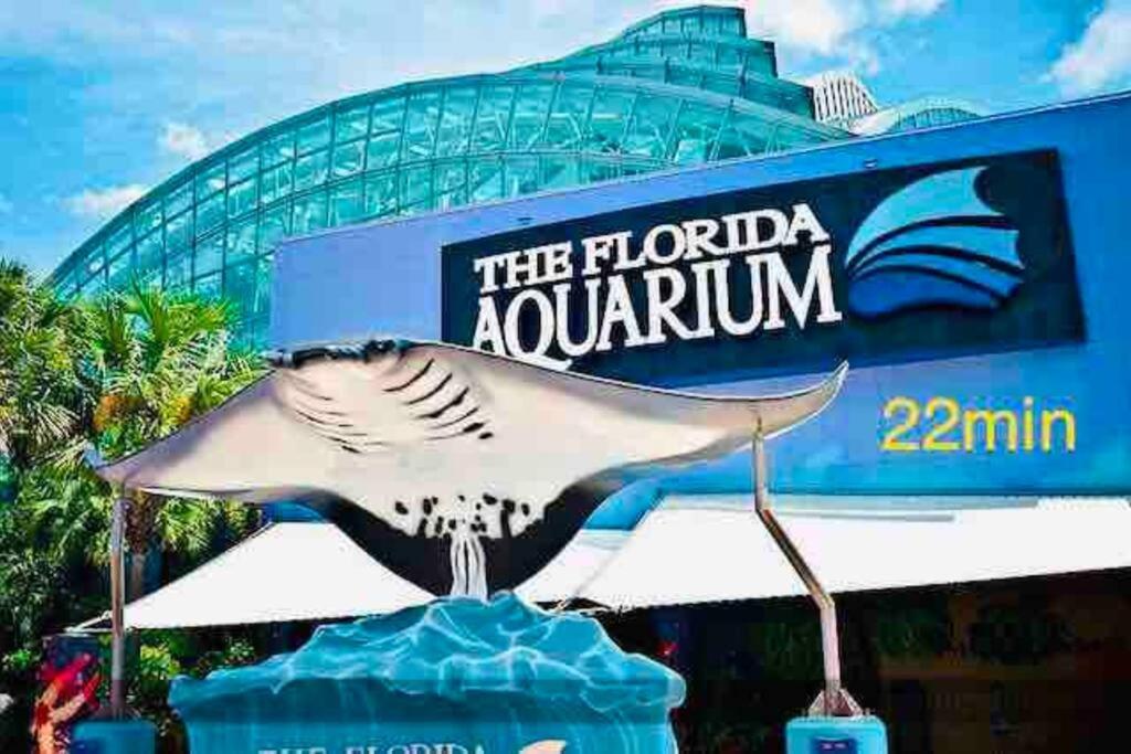 Grey Novo Studio + Free-Parking&Wifi Tampa Bagian luar foto