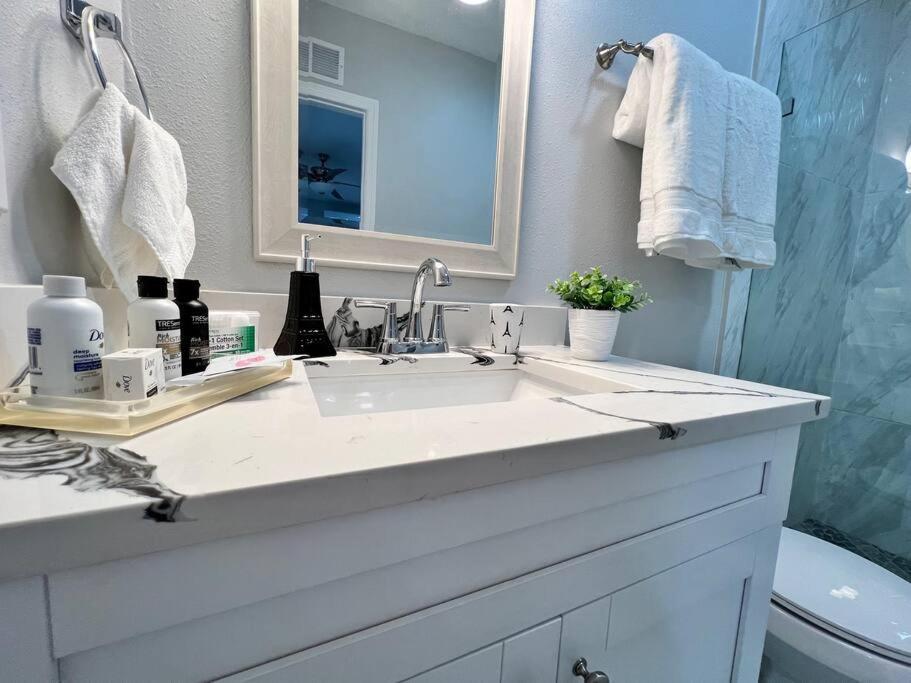 Grey Novo Studio + Free-Parking&Wifi Tampa Bagian luar foto