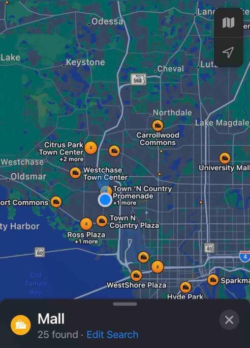 Grey Novo Studio + Free-Parking&Wifi Tampa Bagian luar foto